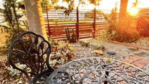 Una mesa y banco de metal en un jardín con valla y árboles al fondo.