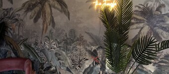 Casa Tropical Jungle in the Couve close to DT