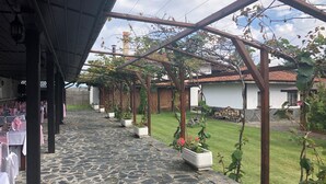 Un espacio al aire libre cubierto con suelo de piedra, plantas en macetas y una estructura de pérgola.