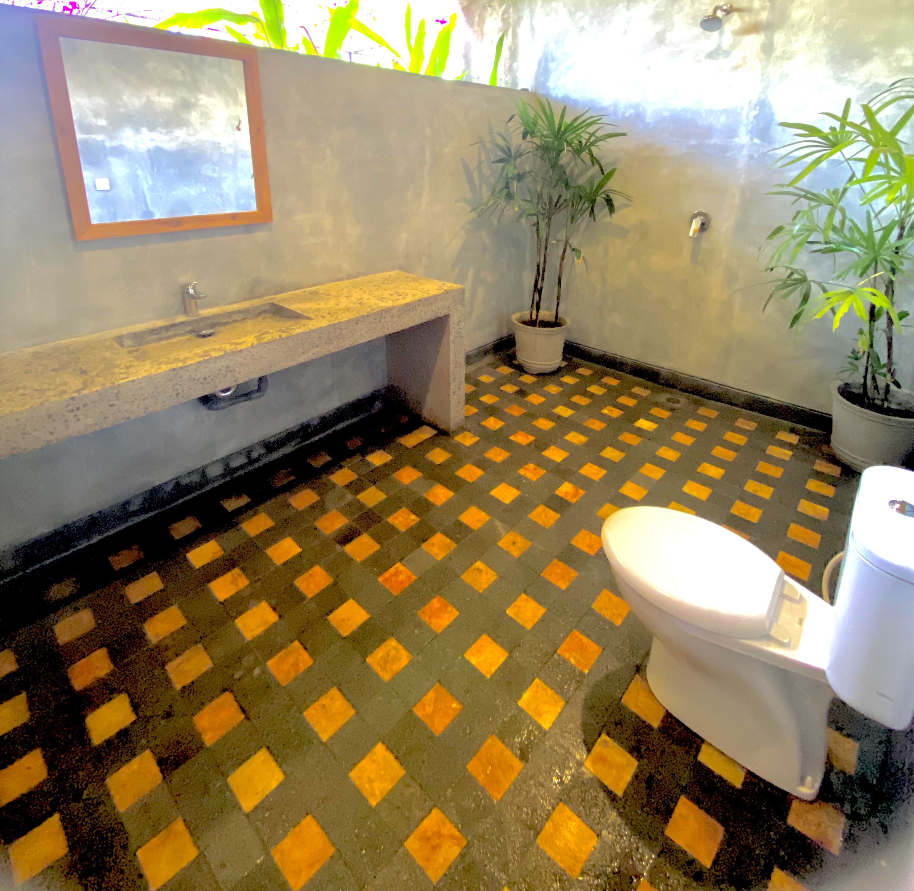 Een badkamer met een zwart-wit geruit vloertapijt, een wastafel, een toilet en potplanten.