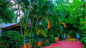 A pathway leading to a building surrounded by lush greenery and palm trees. - Queens Paradise Estate (Vanur)