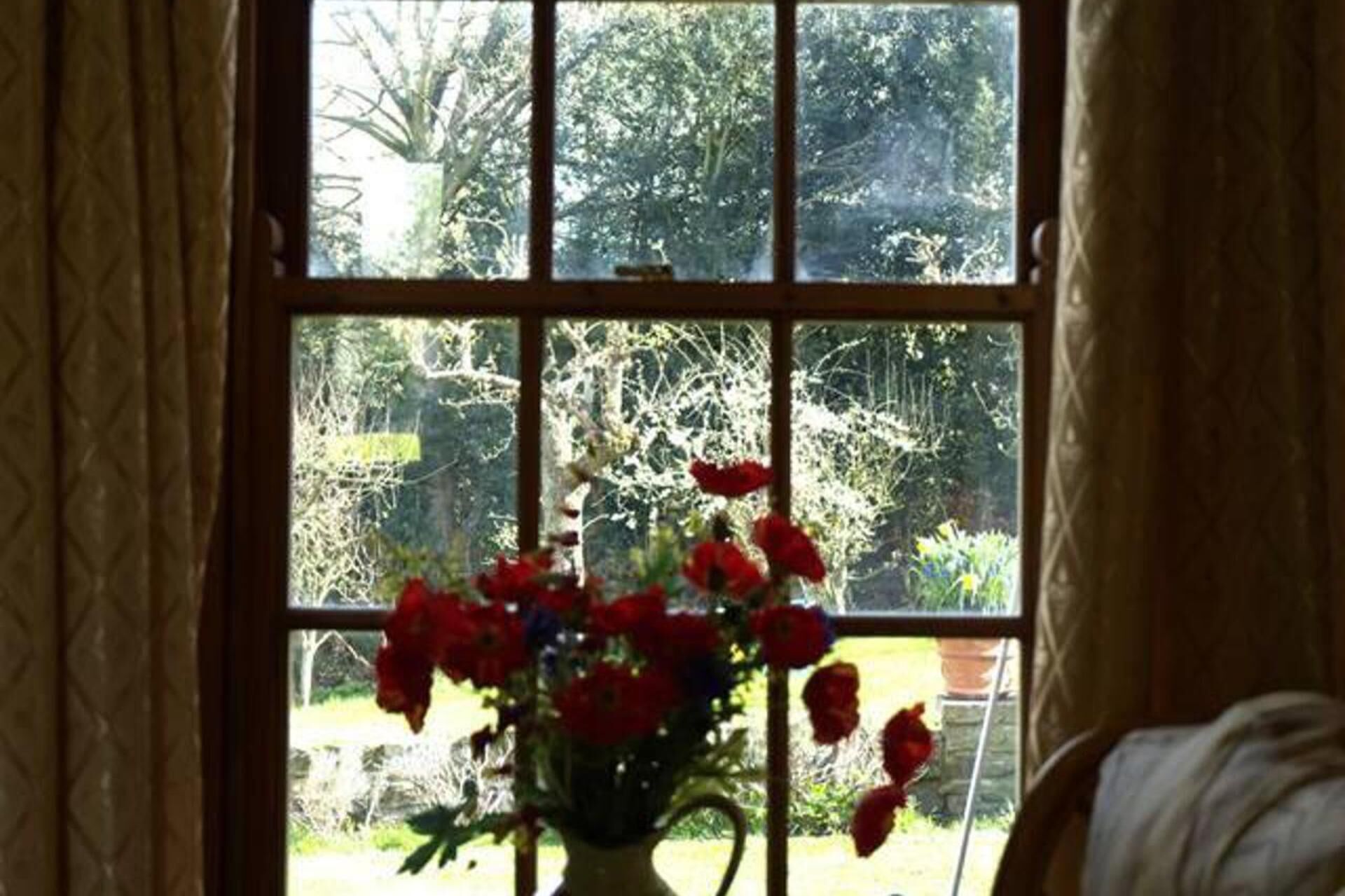 A window with a view of a garden and a vase of red flowers.