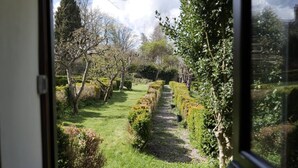 Een tuin met een geplaveid pad, strakke hagen en bomen.