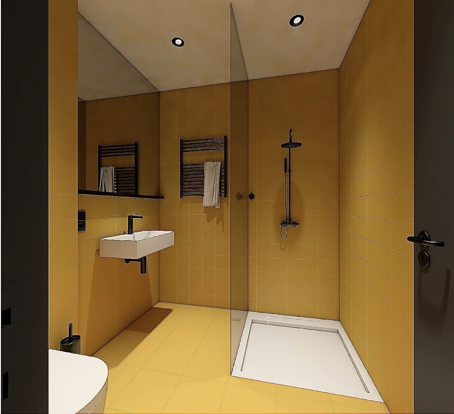 Douche, douche à « effet pluie », sèche-cheveux, serviettes fournies