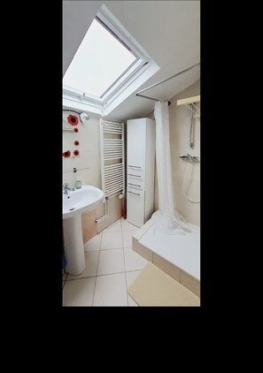 Toallas y papel de baño 