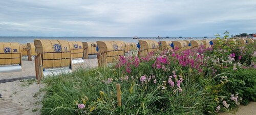Ferienwohnung 3 Zwischen Wald und Meer im Haus Rosa Canina, Kornkamp 8