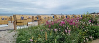 Ferienwohnung 3 Zwischen Wald und Meer im Haus Rosa Canina, Kornkamp 8