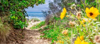 Beachfront and Beautiful!