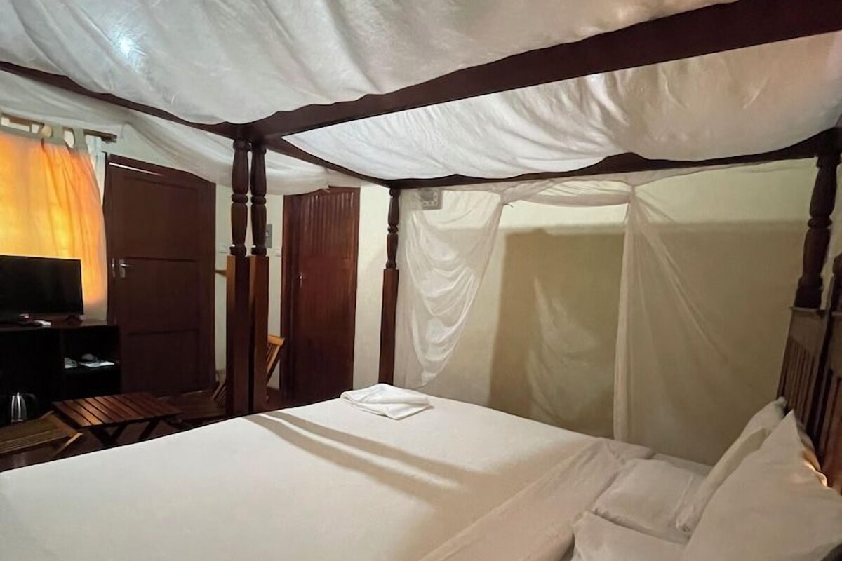 A single bed with a canopy, a television on a stand, and a door in the background.