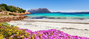 Glori House 50m From Marina di Olbia