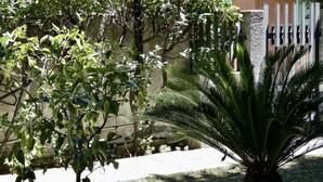 A garden with a palm tree and a wall with vertical bars. - BuenRetiroPe_Ita - Comfortable two-room apartments with garden (Pescara)
