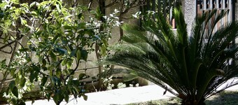 BuenRetiroPe_Ita - Comfortable two-room apartments with garden