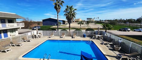 A swimming pool with lounge chairs and a fenced area, surrounded by palm trees and buildings.