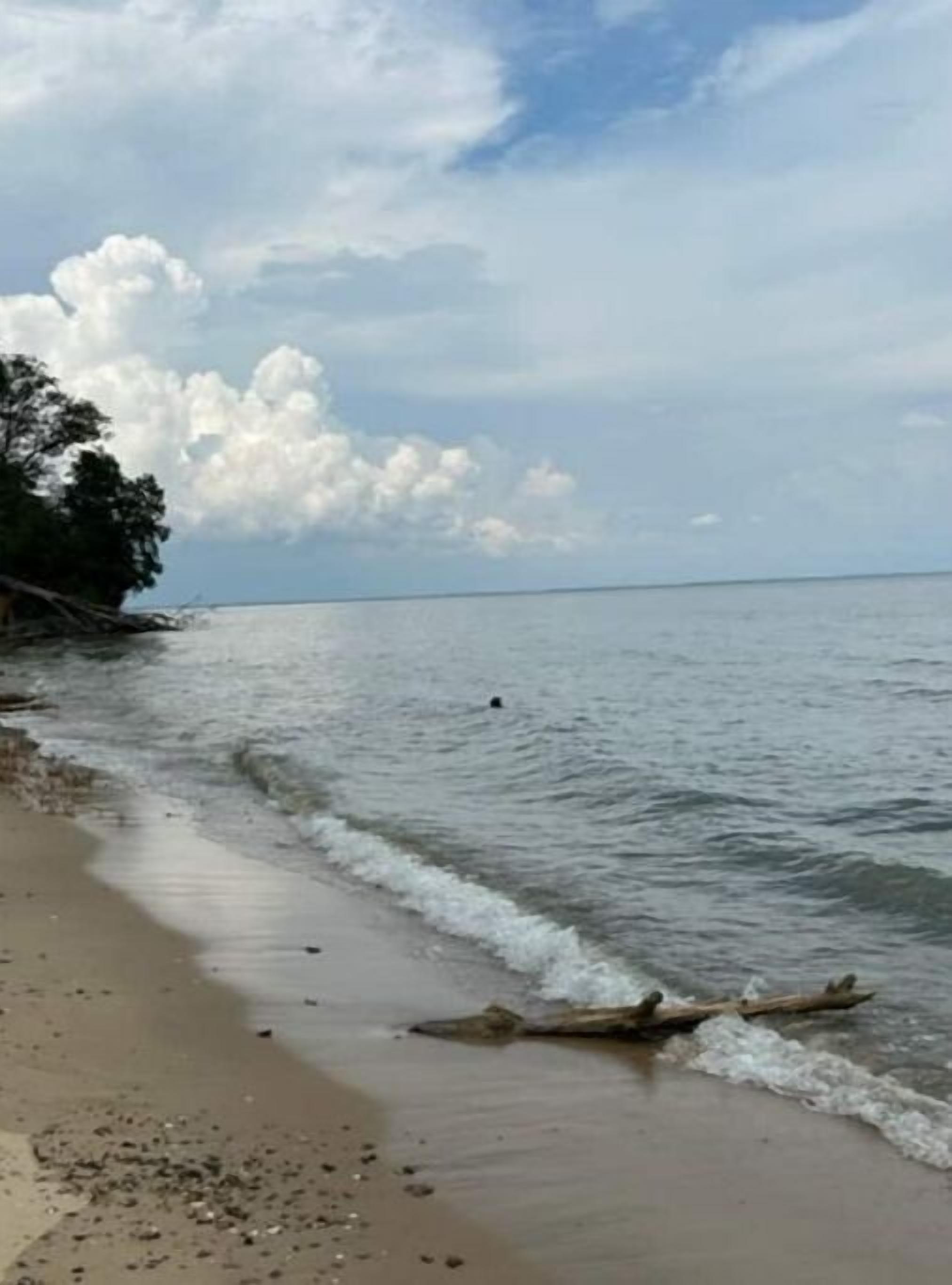 Solstolar och strandhanddukar