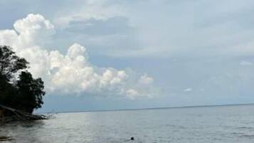 Sun-loungers, beach towels