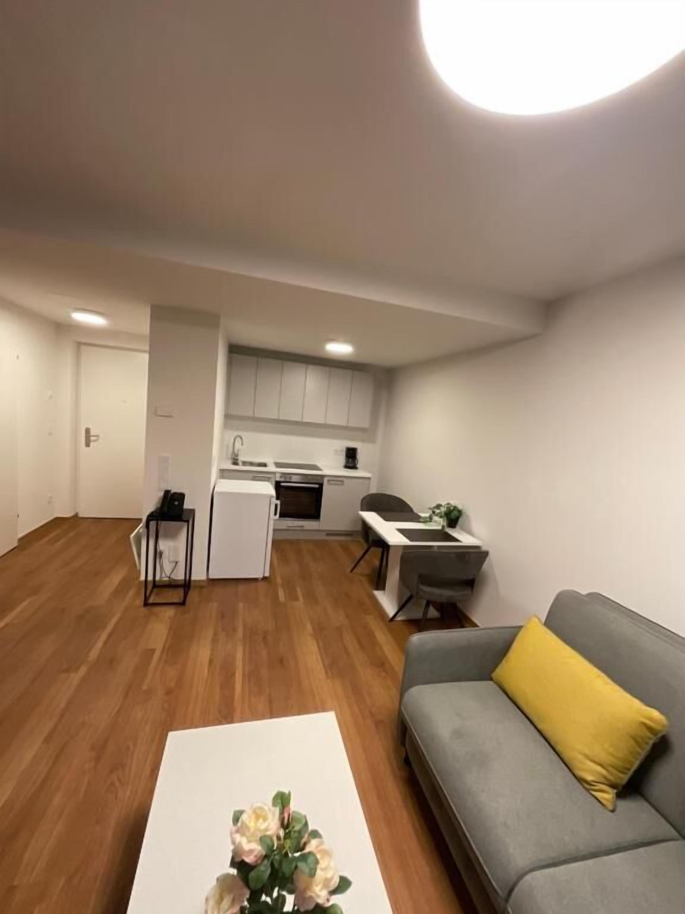 A modern apartment with a kitchen, dining area, and living room.