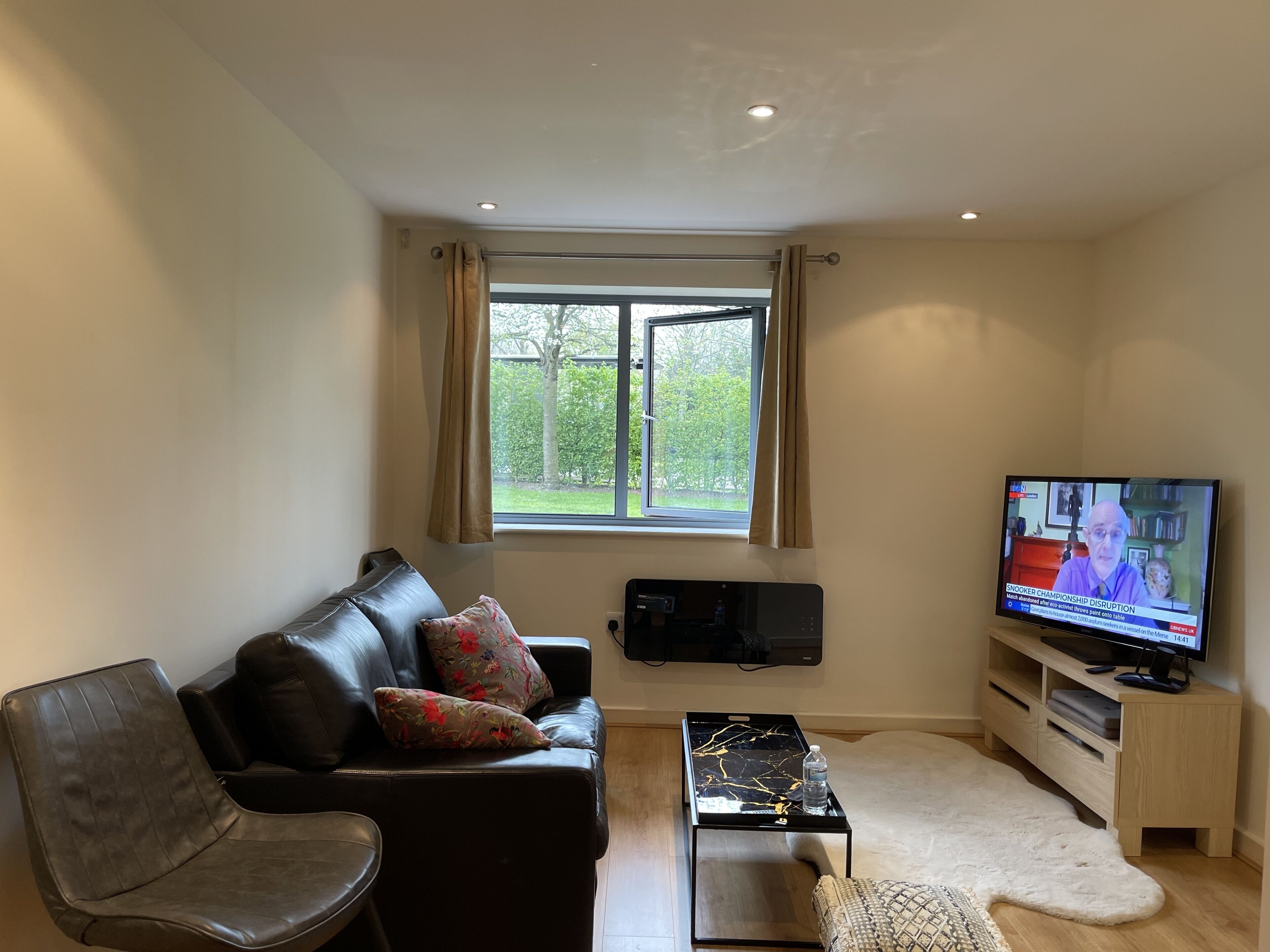 Apartment, 1 Queen Bed | Living area