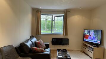 Apartment, 1 Queen Bed | Living area