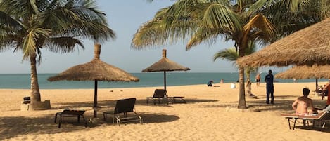 A beach with palm trees, thatched umbrellas, and lounge chairs.