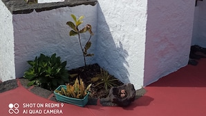 Un edificio blanco con una ventana pequeña, un balcón con plantas en macetas y vista al mar.