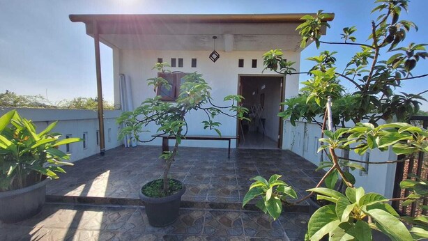 Une terrasse sur le toit agrémentée de plantes en pot, dotée d’un sol carrelé et donnant accès à l’entrée de l’immeuble.