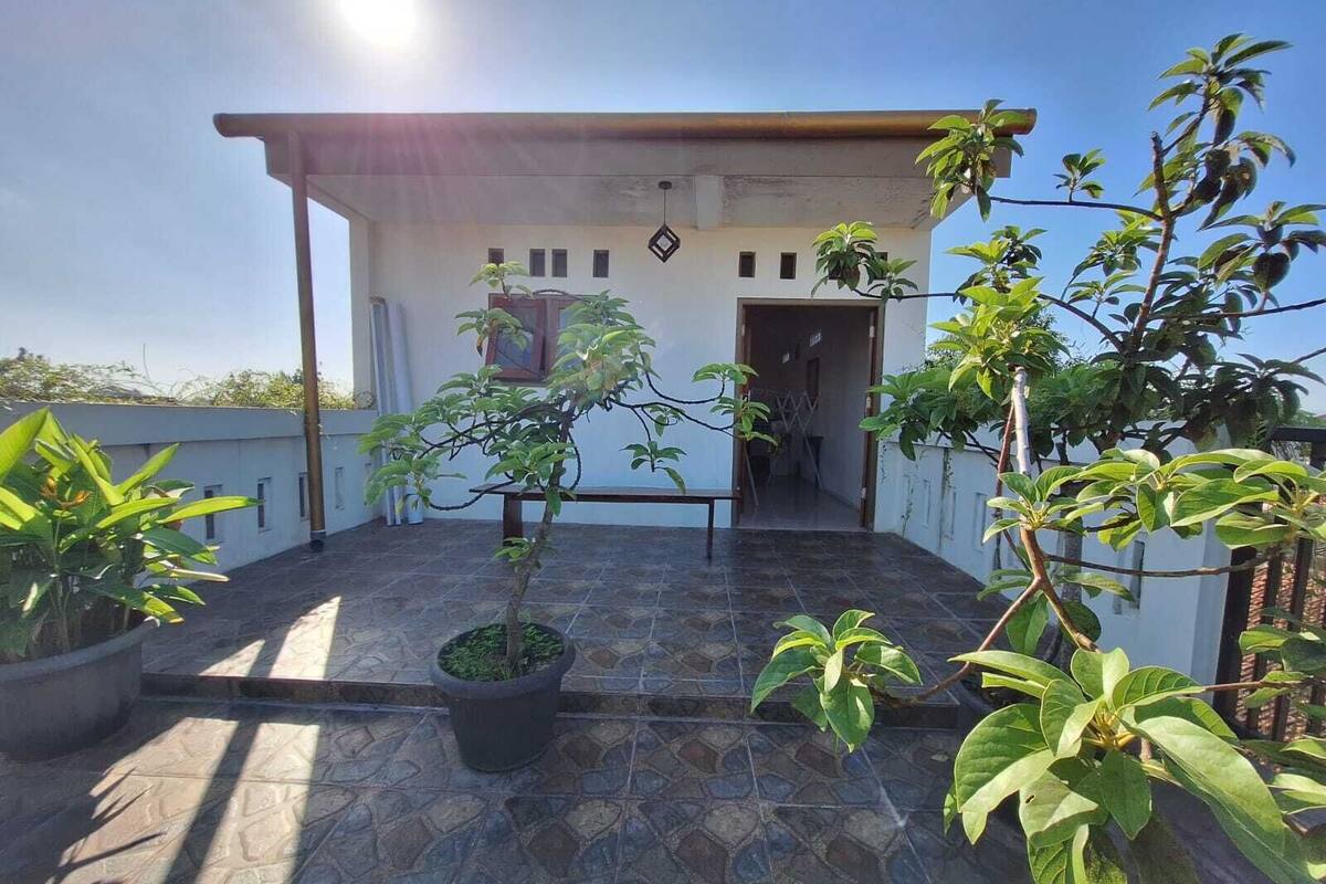 Felles sovesal – familie | Terrasse/patio