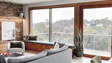 TV, Netflix, books, streaming services