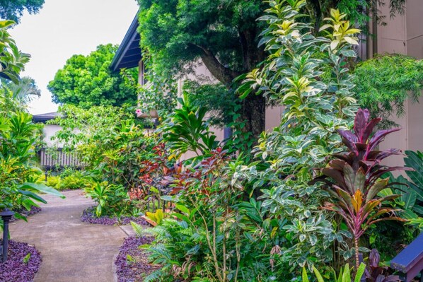 Terrein van de accommodatie