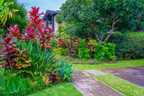 Un jardin bien entretenu, avec différentes espèces de plantes et un chemin menant à un bâtiment.