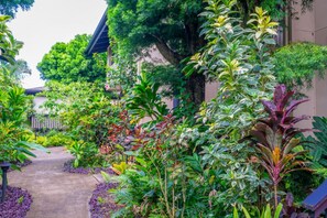 A lush garden with a variety of plants and trees, a concrete pathway, and a building with a dark roof. - Mauna Kai · Delightful views of Pool & Mountains Princeville (Princeville)