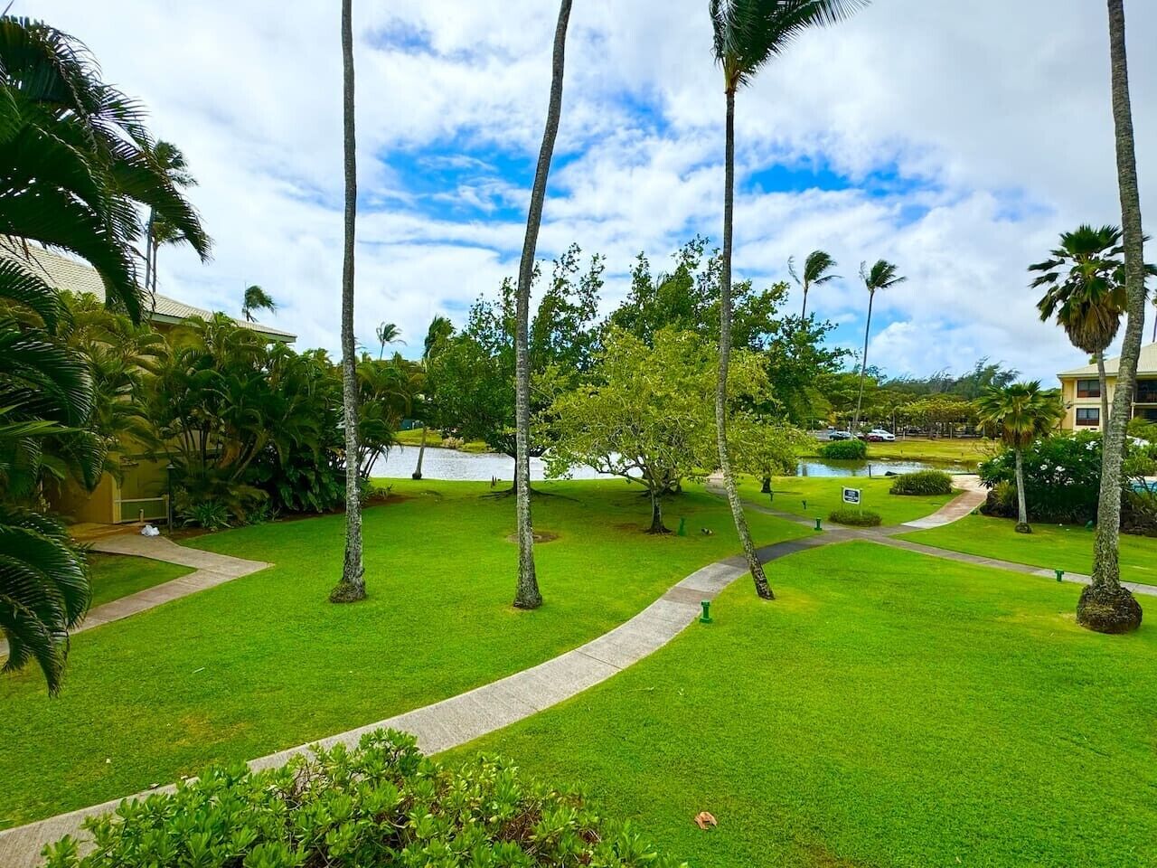 A well-maintained garden with palm trees, a pathway, and a body of water.