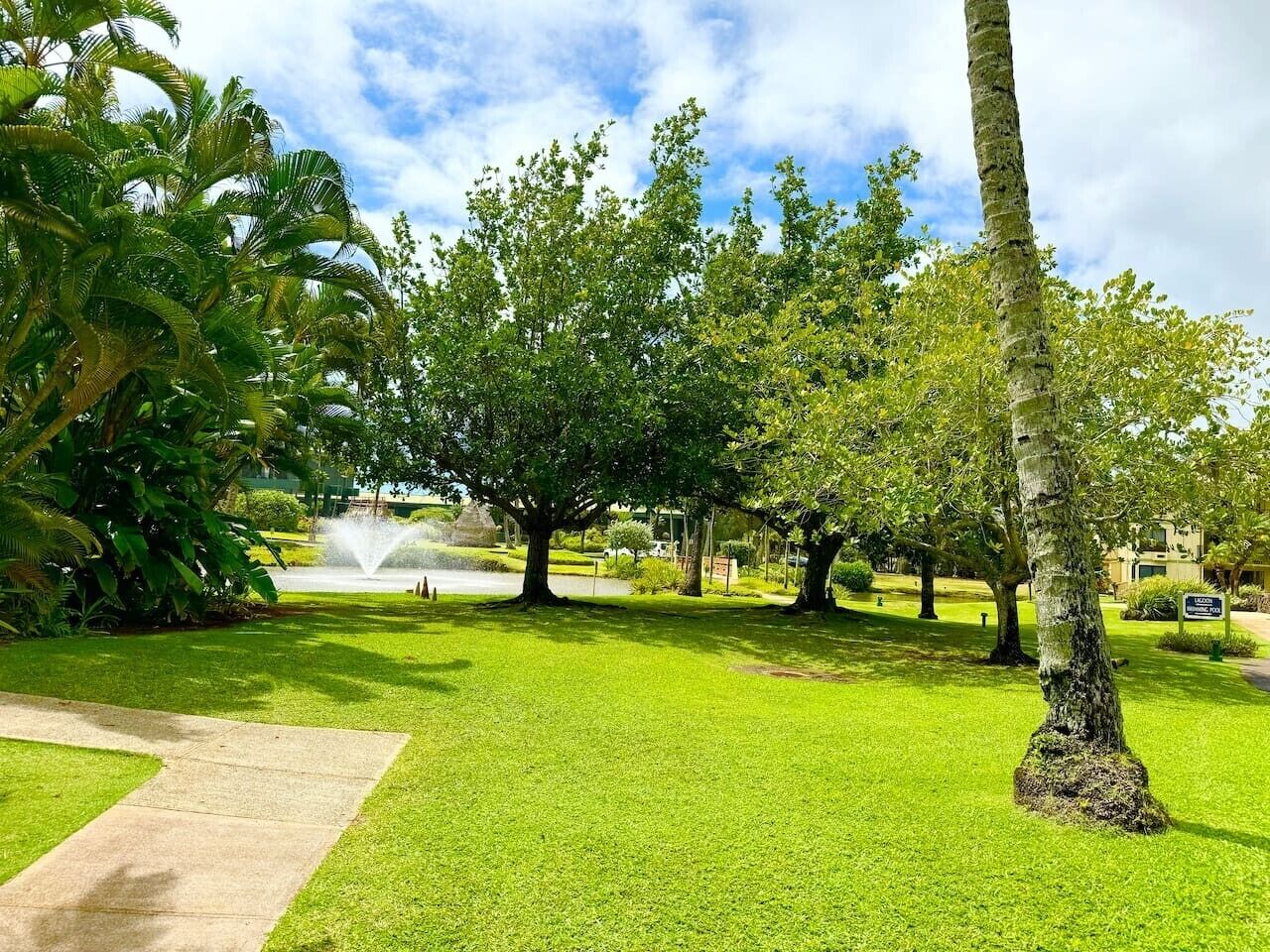 Un jardín bien cuidado con una fuente, césped verde exuberante y árboles maduros.