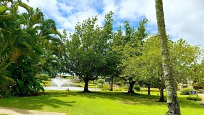 A well-maintained garden with a fountain, lush green grass, and mature trees.