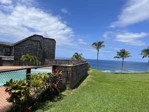 A residential property with a swimming pool, a wooden fence, and a view of the ocean.