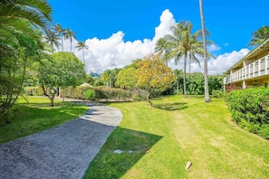 A pathway leading to a building with a covered porch area, surrounded by lush greenery and palm trees.