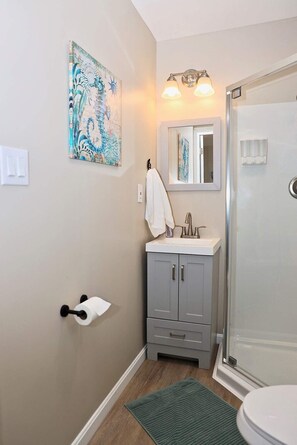 Shower, hair dryer, towels