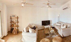 Älytelevisio, stereot