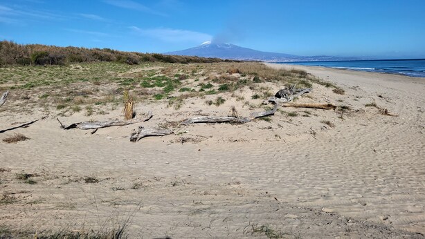 A beach with a clear view of a mountain in the distance. - Entire villa, large spaces, 5 minutes walk to the beach suitable for families groups (Villaggio San Leonardo)
