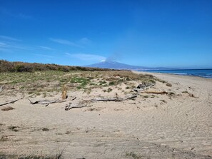 Chaises longues, serviettes de plage