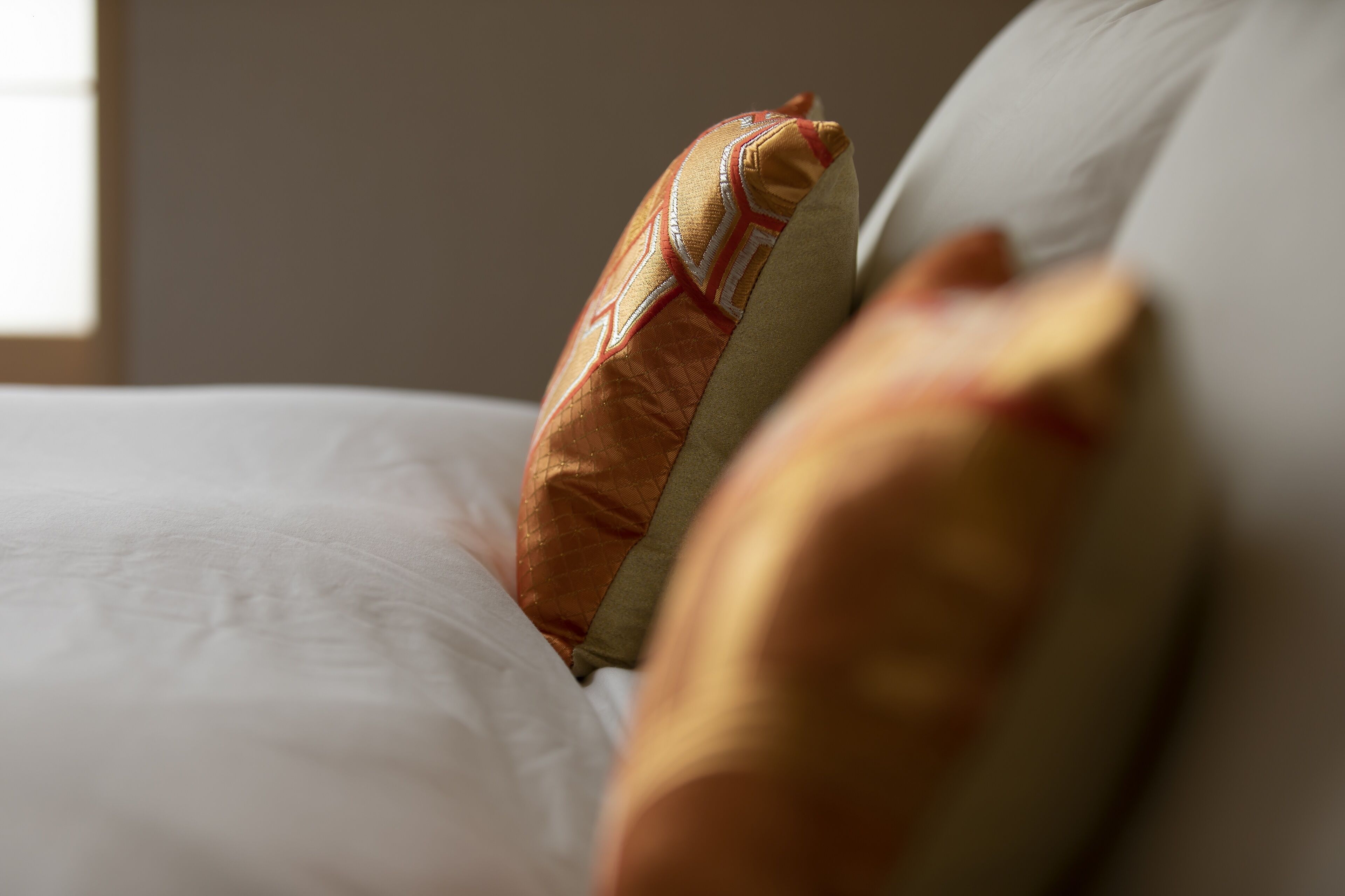A close-up of a bed with a patterned pillow and a plain pillow.