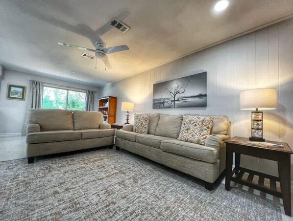 Smart TV, fireplace, books