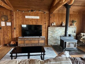 Smart TV, fireplace, books