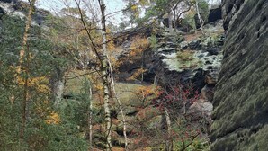A forested area with a rocky cliff, a wooden staircase, and a path covered with fallen leaves.