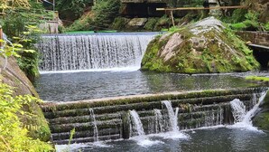 A waterfall cascading over a series of steps into a pool, surrounded by lush greenery and a wooden bridge.