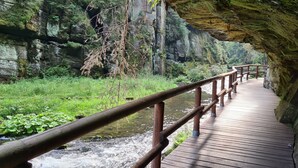 A wooden boardwalk with railings, surrounded by lush greenery and a flowing river, leading through a rocky gorge.
