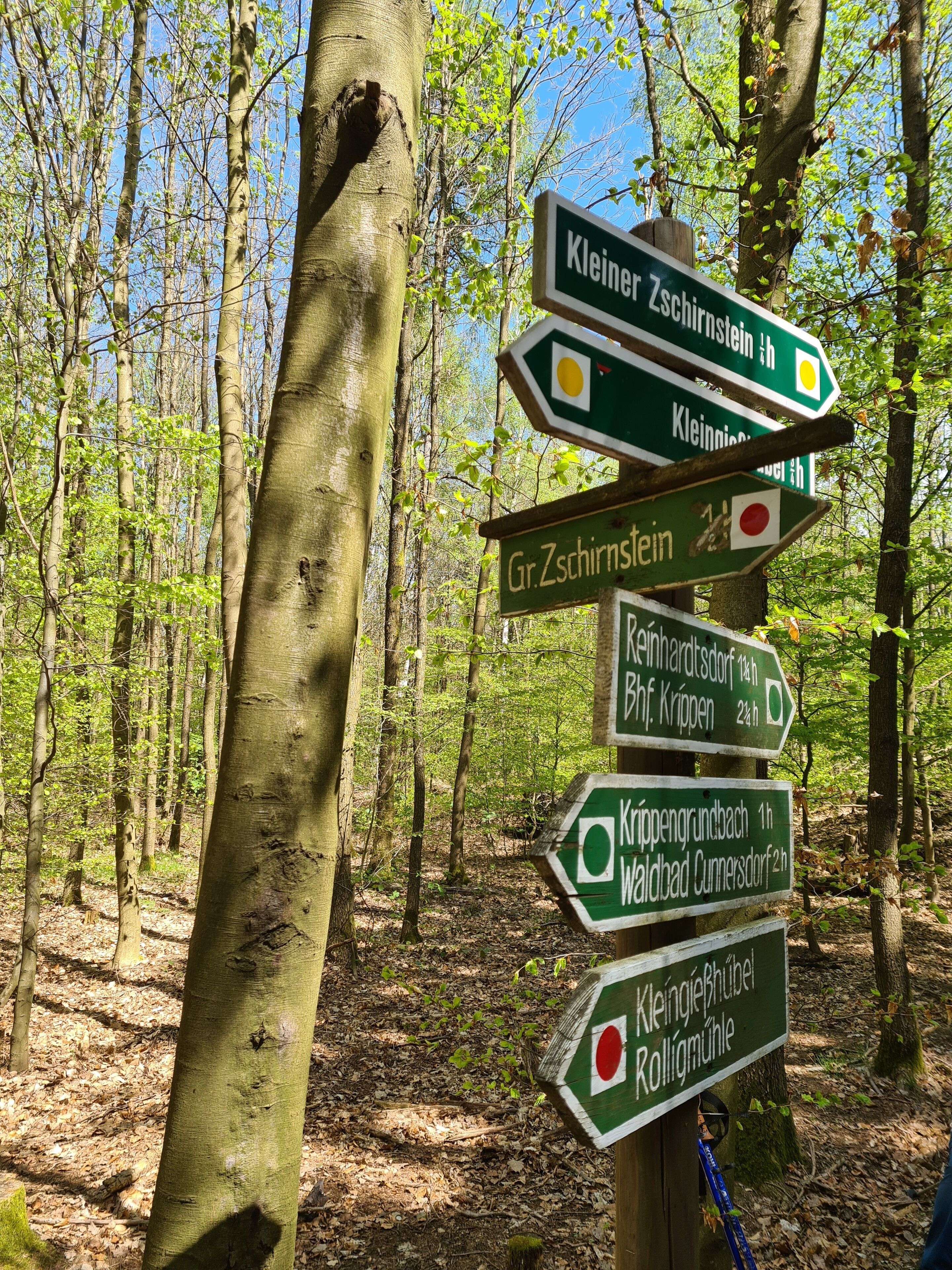 Un panneau indicateur dans une forêt, avec de nombreuses flèches pointant vers différentes destinations.
