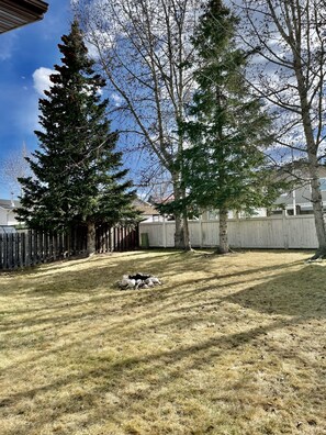 Property grounds - Spacious 4-BR Home near Jasper! (Hinton)