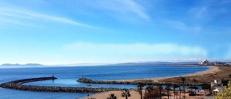 A coastal view with a beach, palm trees, and a clear sky.