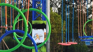 A playground with swings and slides, surrounded by trees. - Great City (Wellington)