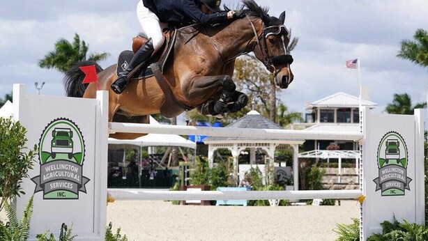 Een ruiter met paard springt over een hindernis, met branding van Wellington Agricultural Services Inc.